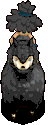黑熊